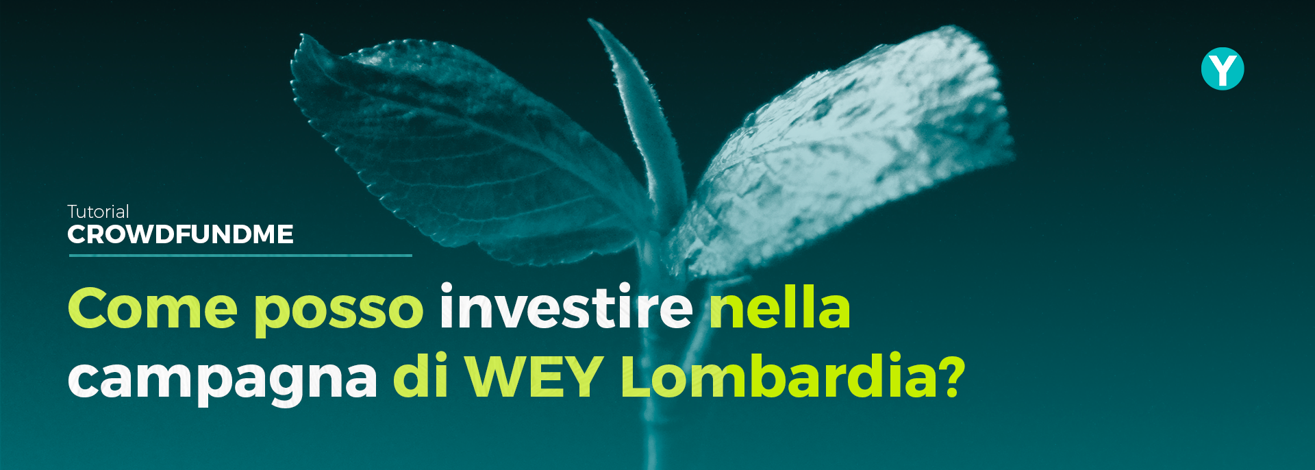 Come investire in Wey Dolce Lombardia